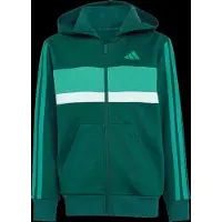 Adidas Seasonal Essentials Tiberio 3 Stripes Fleece Tracksuit Vert 11-12 Years Enfants