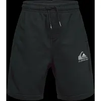 Quiksilver Short EQBFB03174-KVJ0 pour Garçon
