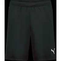 Puma Liga Shorts Noir M
