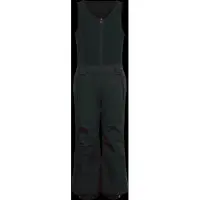 Reima Unisexe, Pantalon de ski, Alppi Winter Pants (98), Noir