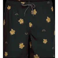 Rip Curl Sessions Swimming Shorts Noir XL Homme