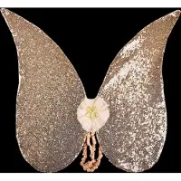 Den Goda Fen Butterfly Wings Child Costume Doré Enfants