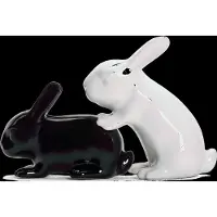 Winkee Bunny SP Shakers - Distributeur de sel et de poivre, Moulin à poivre + moulin à sel, Multicolore