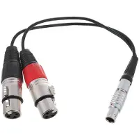 Atomos câble breakout entrée LEMO 10 broches vers XLR pour Shogun