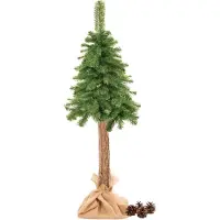 Springos Sapin de Noël naturel sur tronc 140 cm