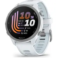 Garmin Montre de sport Forerunner 170 Music, couleur Blanc