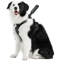 Insta360 Support de harnais pour animaux de compagnie Taille L
