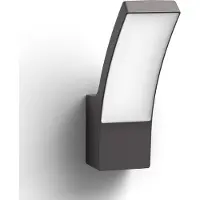 Philips Applique LED d'extérieur 8719514417694 Splay IP44 12 W 1200 lm 4000 K anthracite
