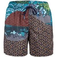 Arena Boxer natation