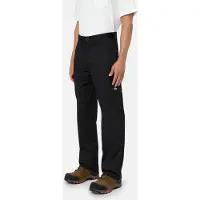 Dickies Pantalon de tous les jours Hommes Pantalon de travail DK0A4XSNBLK
