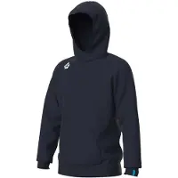 Arena Sweatshirt à capuche Team Panel