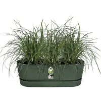 Elho Pot de Plante Elho Vert 21,2 x 52 x 19,4 cm