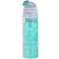 Cosmetex Roland - Junsohada Japanese Peppermint Scalp Shampoo 485ml