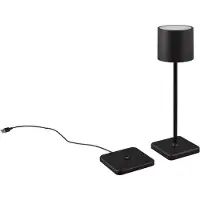 TRIO Lampe de table FERNANDEZ 38cm noir