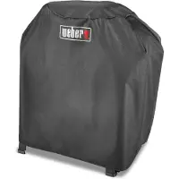 Weber pour Lumin avec support