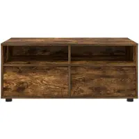 vidaXL Meubles TV, 100 x 48 x 43 cm, bois imitation chêne fumé