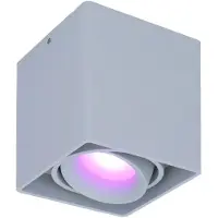 HOFTRONIC™ - Plafonnier connecté Esto carré 5,5W RGBWW WiFi BLE Gris IP20