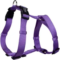 Nobby Harnais Classic (L, XL, Chien, Général)