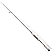 Shimano Fishing Canne Spinning Stardic