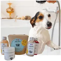 Biofood Coffret assortiment 3 shampoings + 1 masque 200ml