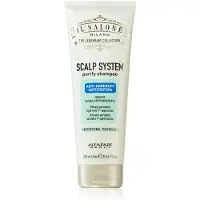 Alfaparf Milano Il Salone Scalp System Anti Dandruff Shampoo 250ml - shampooing