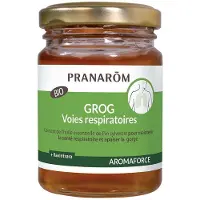 Pranarôm - Aromaforce - Grog Voies Respiratoires - Miel Acacia Aux Huiles Essentielles Bio - Ravintsara Et Pin Sylvestre - Aide à respirer plus librement - 140 g 100 ml Crème