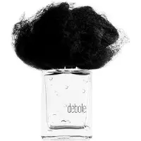 Filippo sorcinelli Pioggia Debole, extrait de parfum unisexe, 50 ml