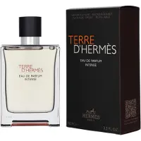 Hermès Paris Terre d'Eau de Parfum Intense Spray (nachfüllbar) (100 ml)