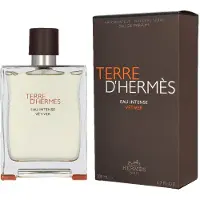 Hermès Paris Terre d’Hermès Eau Intense Vétiver Eau de Parfum pour homme 200 ml