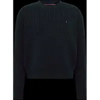 Tommy Hilfiger Pull-over bleu marine