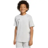 Adidas T-Shirt fonctionnel 'Tiro 25 Travel' gris