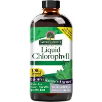 Natures Answer , Chlorophylle Liquide, 100 mg, 16 fl oz (480 ml)