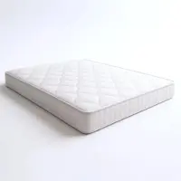 11.11 SRLS Matelas 160 x 190 avec ressorts ensachés et mousse à mémoire de forme | Hauteur 25 cm | Ergonomique, ignifuge, anti-allergique | Dispositif médical classe 1 | Fabriqué en Italie