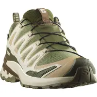 Salomon Chaussures De Trail Running Xa Pro 3d V9 Gore-tex