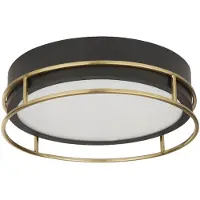 Searchlight Phoenix 2Lt Flush - Noir et laiton IP44