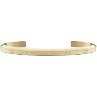 Daniel Wellington Bracelet - Acier Or - Daniel Wellington - Dw00400532