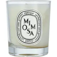 Diptyque Bougie Mimosa 70 g