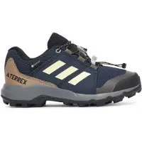 Adidas Terrex Gore-tex Kids Hiking Shoes Bleu EU 33 Enfants