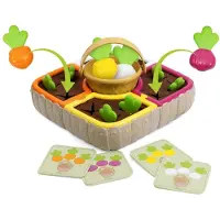 Chicco 2 In 1 Vegetable Garden Vert Enfants