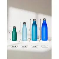 Qwetch Bouteille isotherme inox brossé Originals