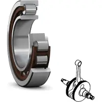 Skf Roulements à rouleaux cylindriques NJ204 ECPC3 Ø intérieur 20 mm Ø extérieur 47 mm Largeur14 mm