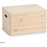 Zeller Present Boîte polyvalente (29 l, 1x, 40 x 30 x 24 cm)