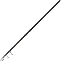 Mikado Canne Carpfishing Intro Ii Tele