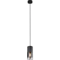 TRIO Lampe suspendue ROBIN 310600132