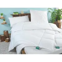 Frankenstolz Couette Steppbett Klima Active, grande taille, 155x220 cm. Modèle : couette
