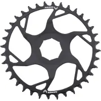 Sram T-type E-bike Brose Direct Mount Chainring Argenté 36t