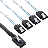 InLine Câble de connexion SAS (100 cm, Mini-SAS)