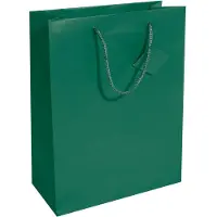 Sigel 5 pochettes cadeaux vertes 26,0 x 33,0 cm (5x)