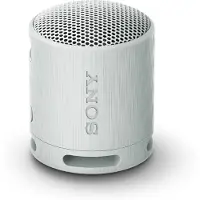 Sony SRS-XB100 Gris