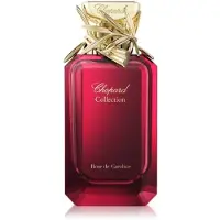 Chopard Rose Caroline 100ml Eau De Parfum Rouge Homme
